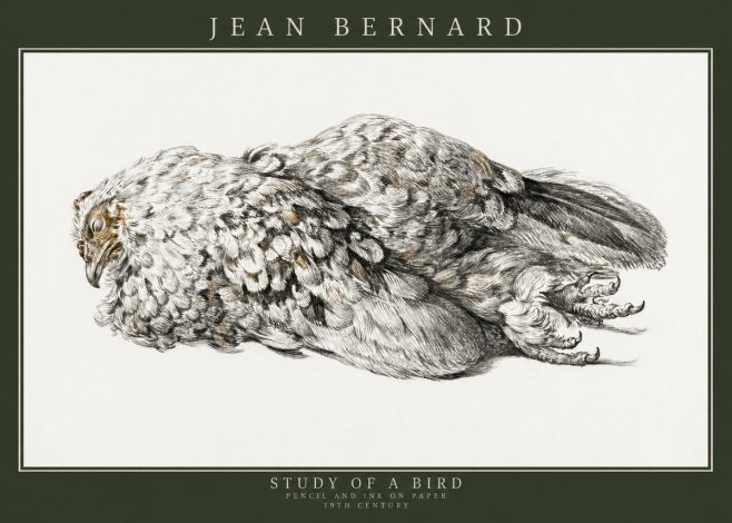 Jean Bernard Study of a Bird I No3 - Poster