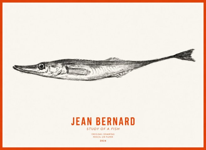 Jean Bernard Study of a Fish I No3 - Poster