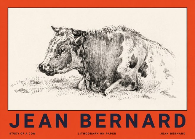 Jean Bernard Resting Cow I No4 - Poster