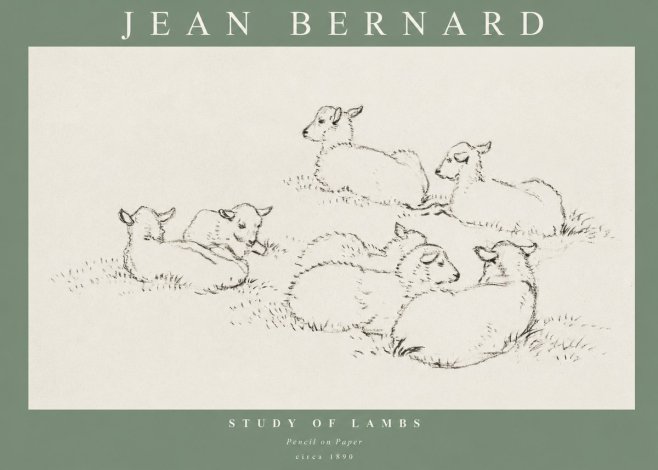 Jean Bernard Study of Lambs No1 - Poster