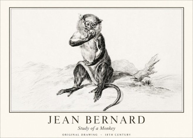 Jean Bernard Study of a Monkey No1 - Poster
