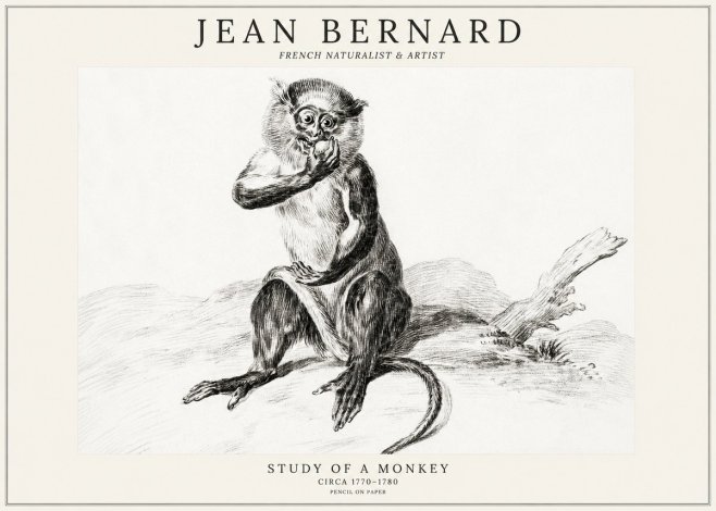 Jean Bernard Study of a Monkey No3 - Poster