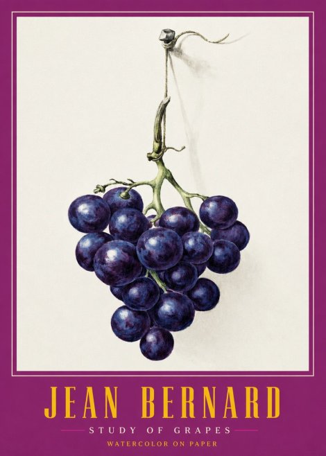 Jean Bernard Grapes No3 - Poster