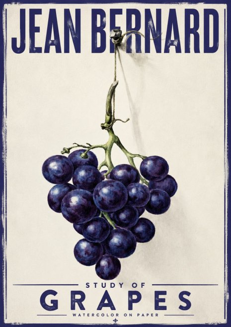 Jean Bernard Grapes No4 - Poster
