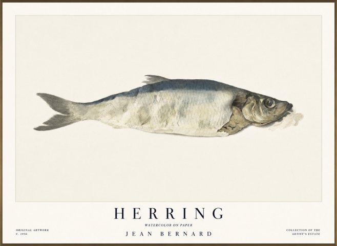 Jean Bernard Herring No1 - Poster