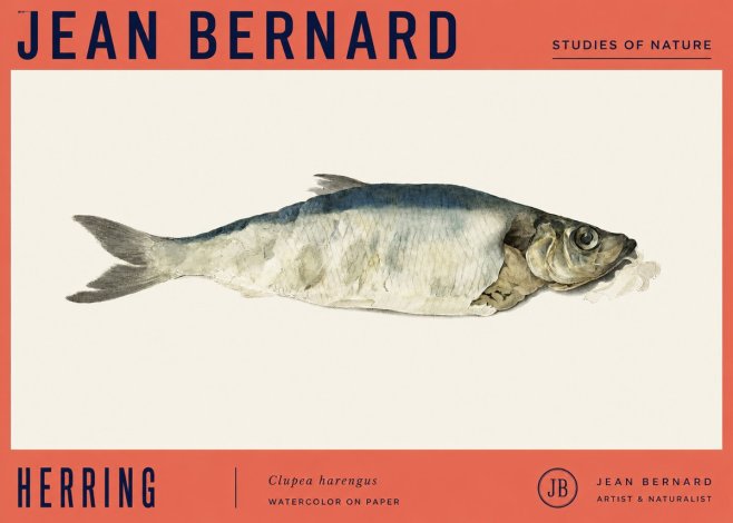 Jean Bernard Herring No4 - Poster