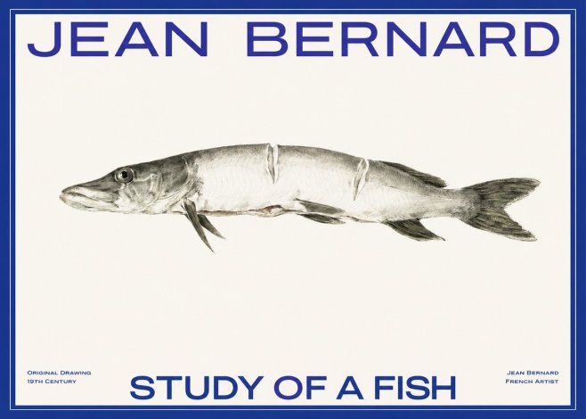 Jean Bernard Study of a Fish II No2 - Poster