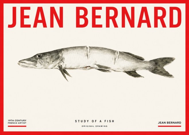 Jean Bernard Study of a Fish II No3 - Poster