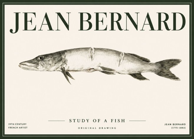 Jean Bernard Study of a Fish II No4 - Poster
