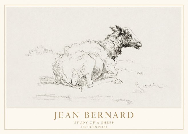 Jean Bernard Sheep Resting No4 - Poster