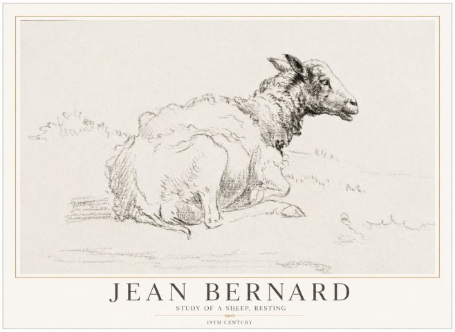 Jean Bernard Sheep Resting No5 - Poster