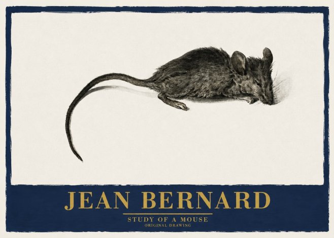 Jean Bernard Study of a Mouse I No2 - Poster