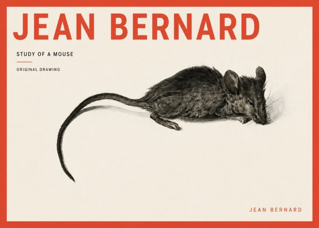 Jean Bernard Study of a Mouse I No3 - Poster