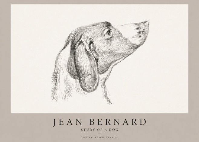 Jean Bernard Study of a Dog I No1 - Poster