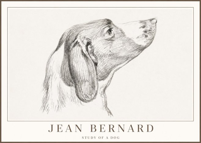 Jean Bernard Study of a Dog I No2 - Poster