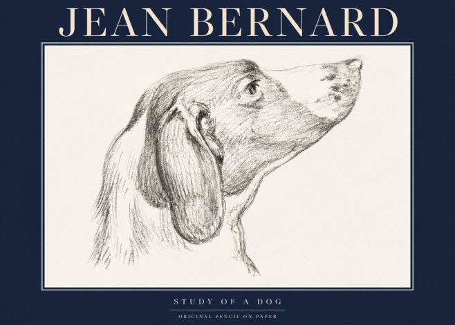 Jean Bernard Study of a Dog I No4 - Poster