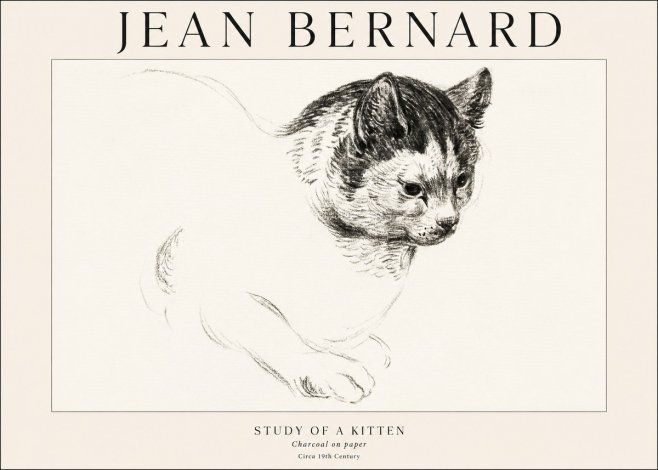 Jean Bernard Study of a Kitten I No1 - Poster
