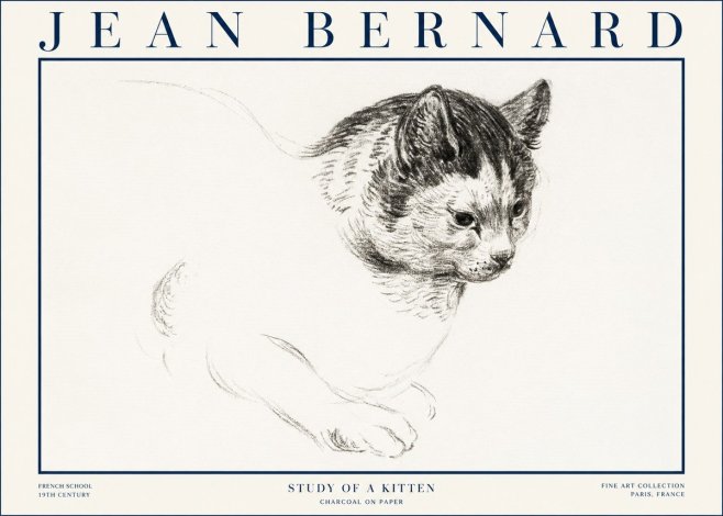 Jean Bernard Study of a Kitten I No4 - Poster