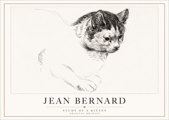 Jean Bernard Study of a Kitten I No5 - Poster