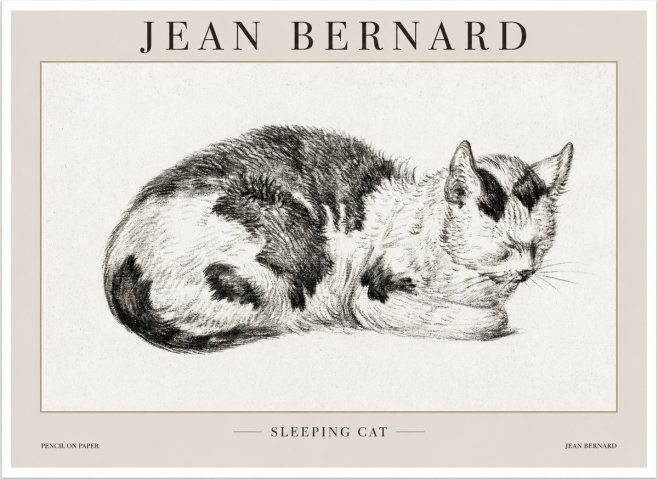 Jean Bernard Sleeping Cat I No1 - Poster
