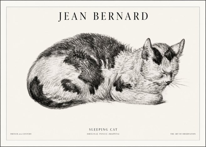 Jean Bernard Sleeping Cat I No5 - Poster