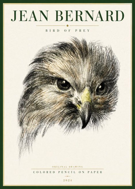 Jean Bernard Bird of Prey No4 - Poster