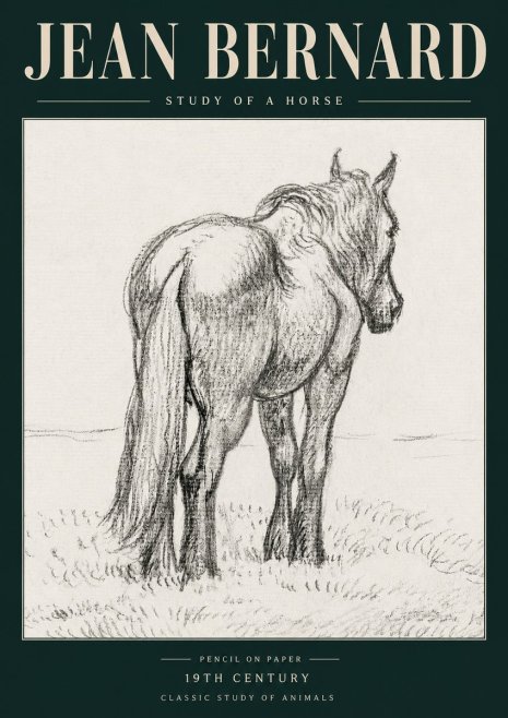 Jean Bernard Study of a Horse II No5 - Poster