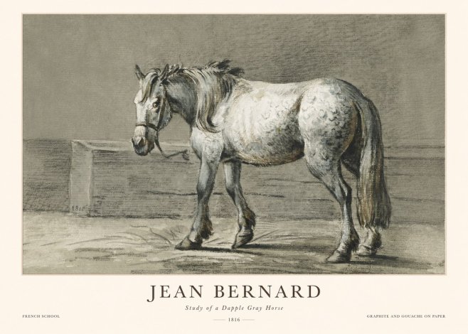 Jean Bernard Study of a Dapple Gray Horse No1 - Poster