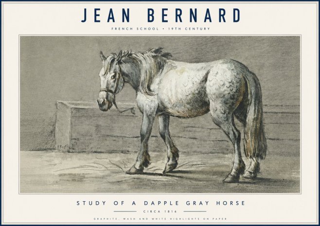 Jean Bernard Study of a Dapple Gray Horse No6 - Poster