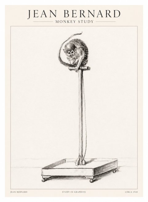 Jean Bernard Monkey Study No1 - Poster