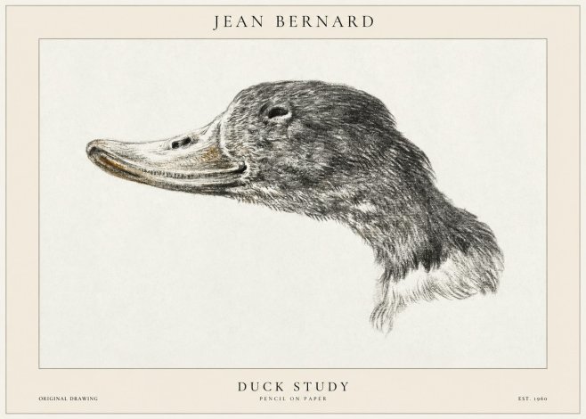 Jean Bernard Study of a Duck No2 - Poster