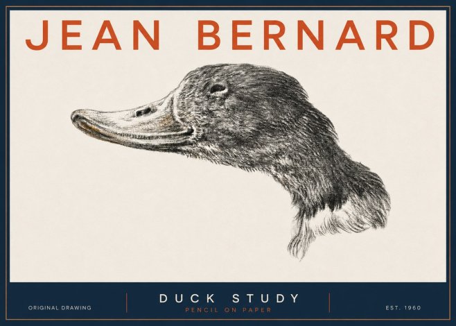 Jean Bernard Study of a Duck No5 - Poster