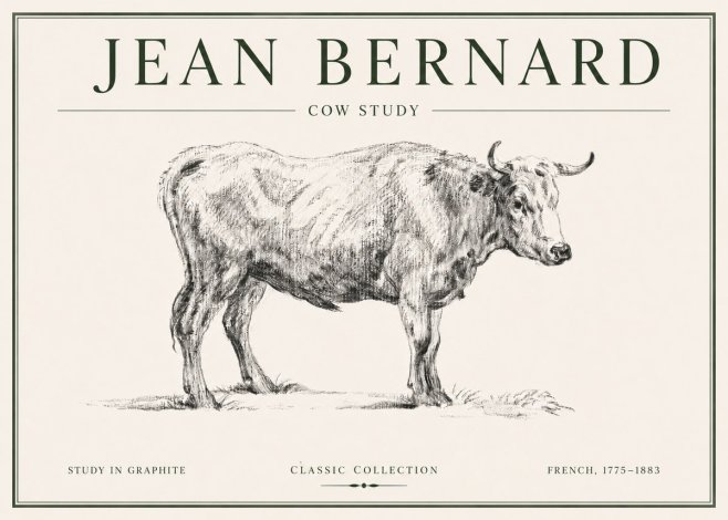Jean Bernard Cow Study No6 - Poster