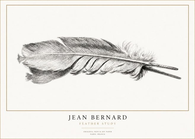 Jean Bernard Feather No3 - Poster