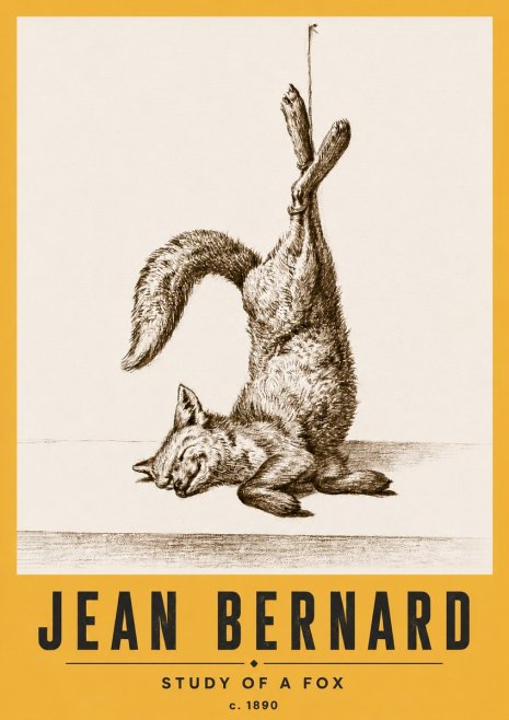 Jean Bernard Study of a Fox No6 - Poster