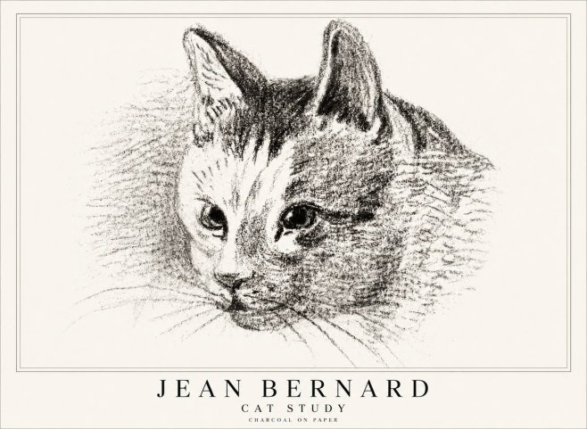 Jean Bernard Cat Study III No1 - Poster
