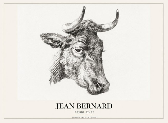 Jean Bernard Bovine Study I No1 - Poster