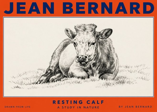 Jean Bernard Resting Calf I No2 - Poster
