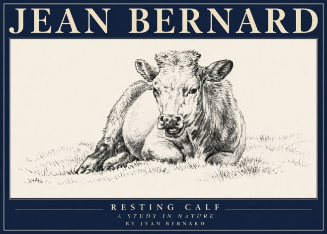 Jean Bernard Resting Calf I No4 - Poster