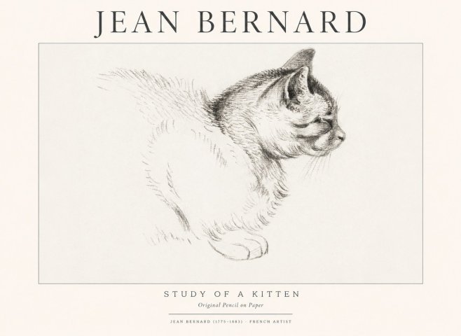 Jean Bernard Study of a Kitten II No1 - Poster