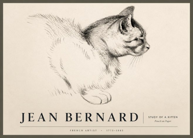 Jean Bernard Study of a Kitten II No2 - Poster