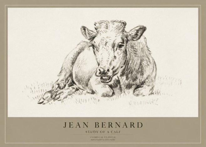 Jean Bernard Resting Calf II No4 - Poster