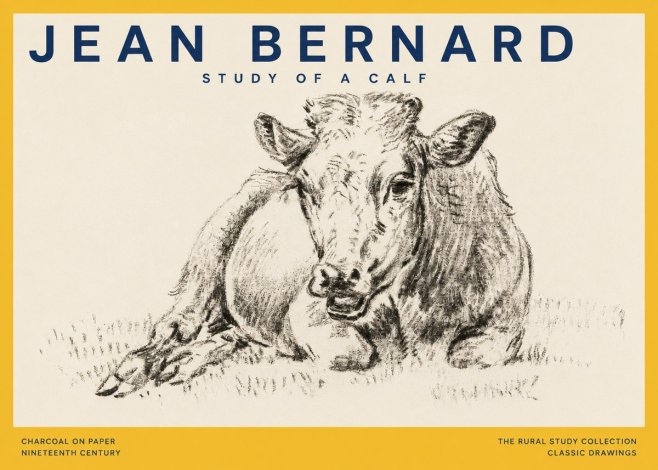 Jean Bernard Resting Calf II No5 - Poster