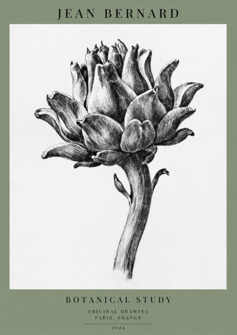 Jean Bernard Botanical Study No1 - Poster