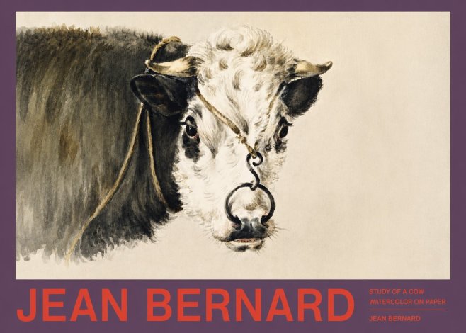 Jean Bernard Study of a Cow I No2 - Poster