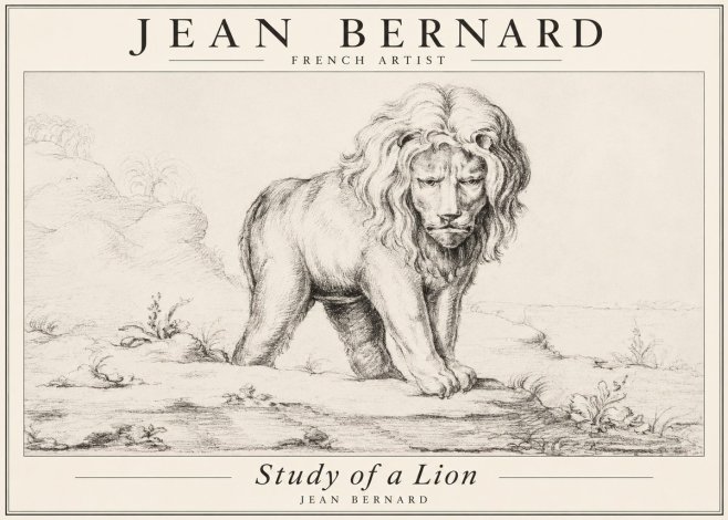 Jean Bernard Study of a Lion I No3 - Poster