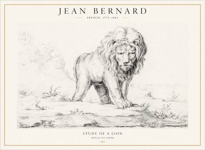 Jean Bernard Study of a Lion I No4 - Poster