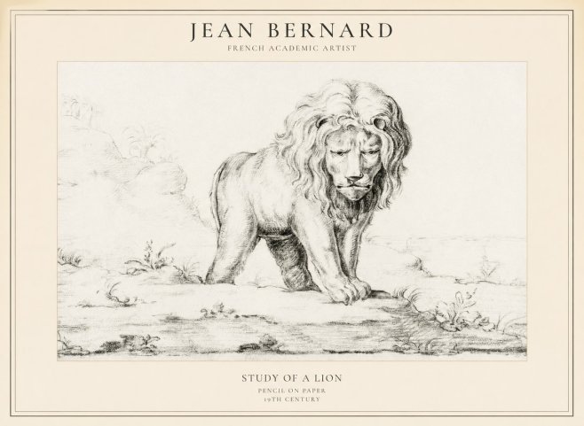 Jean Bernard Study of a Lion I No5 - Poster