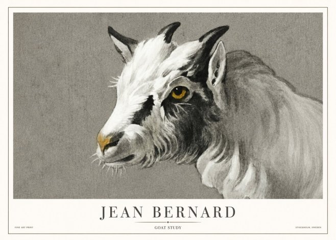 Jean Bernard Goat Study No1 - Poster