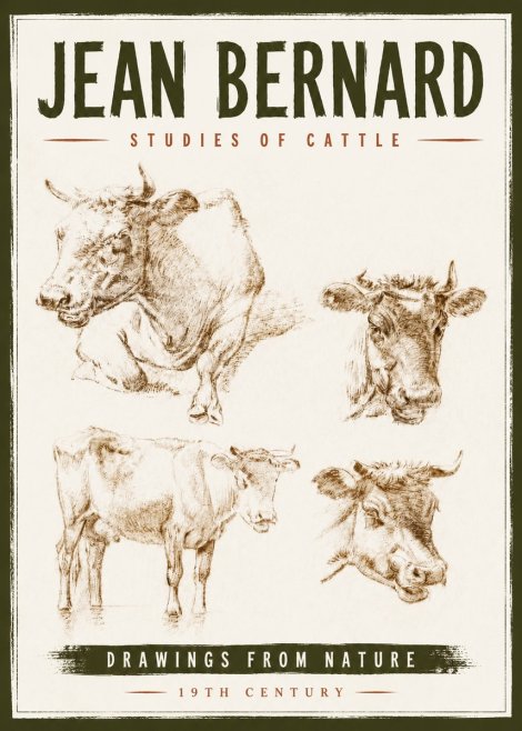 Jean Bernard Studies of Cattle II No6 - Poster